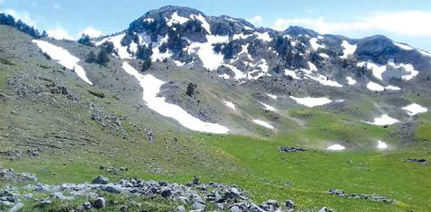 Да ли је било бојевих гађања на Сињајевини?